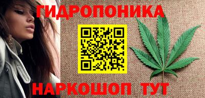 дживик Кунгур